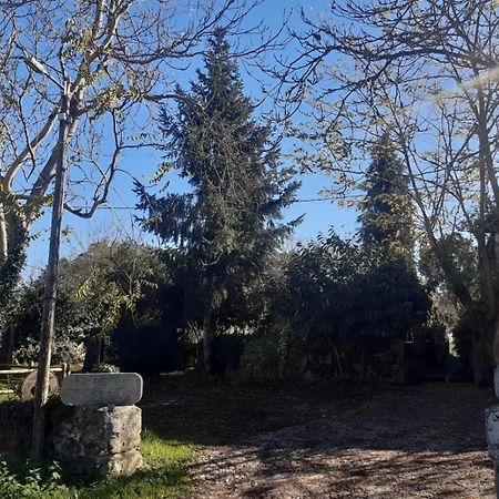 Pazo San Lorenzo- Puebla De Trives Luaran gambar